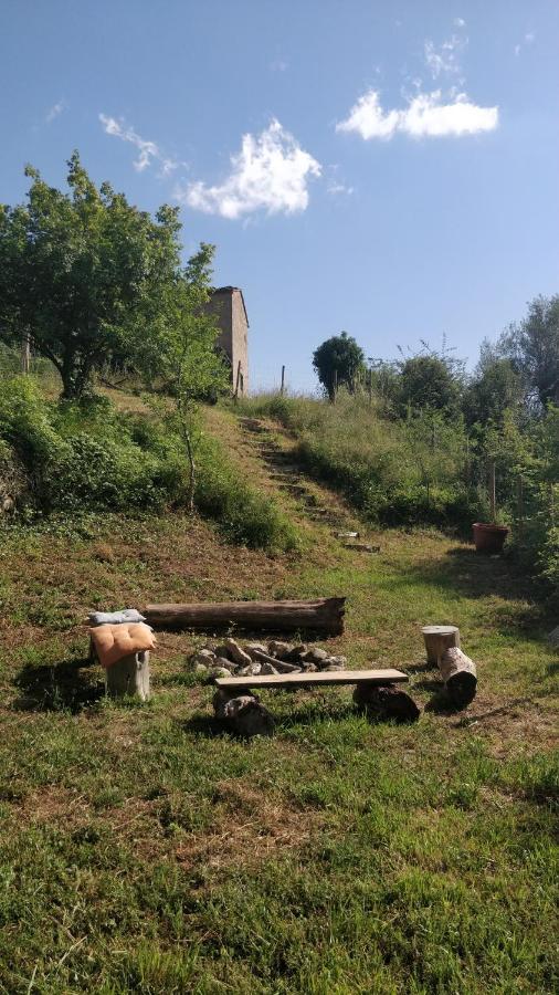 Podere Cerrete - Eco Farmhouse Castel del Piano (Tuscany) Exterior foto