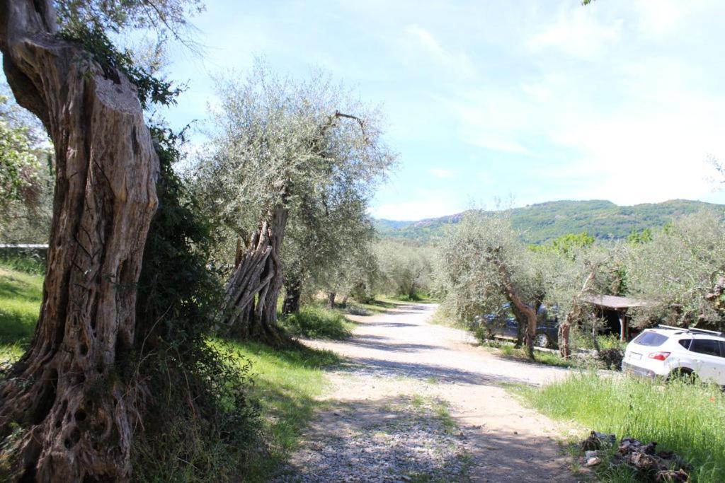 Podere Cerrete - Eco Farmhouse Castel del Piano (Tuscany) Exterior foto